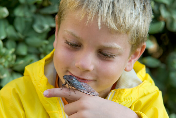 child holding a cicaca